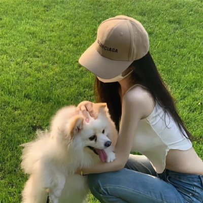 科搜研之女2022